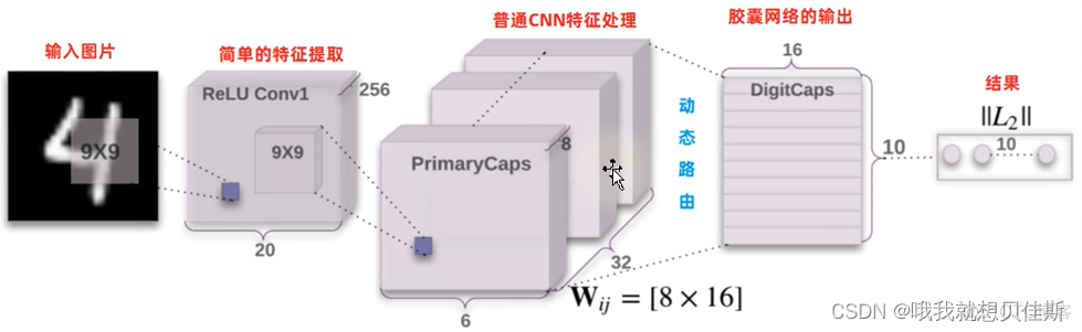 CNN的改进模型 cnn的缺点_2d_05