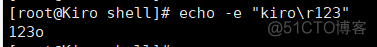 windows shell 脚本 echo 禁用输出 shell脚本echo -n_bash_06