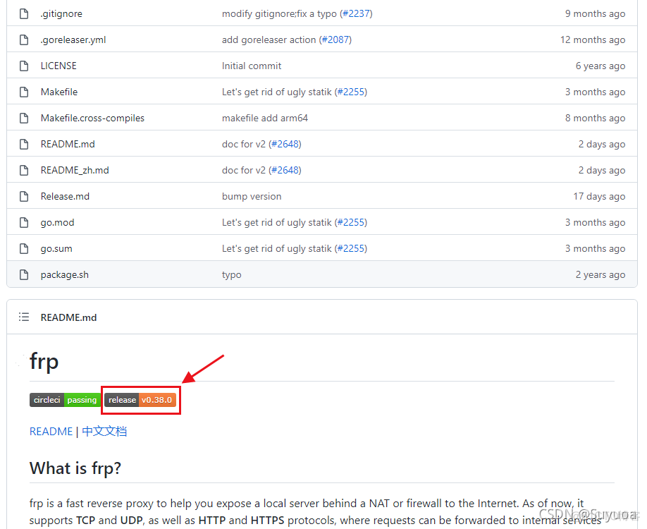 python内网穿透tcp putty内网穿透_ubuntu_07