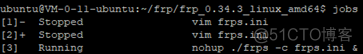 python内网穿透tcp putty内网穿透_客户端_20