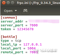 python内网穿透tcp putty内网穿透_ubuntu_32