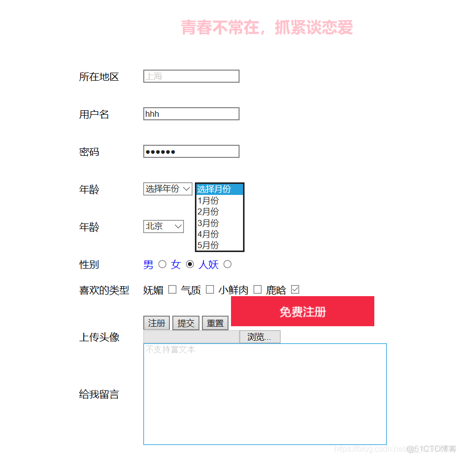 html5表单有几个控件 html常用表单控件_html5表单有几个控件_04