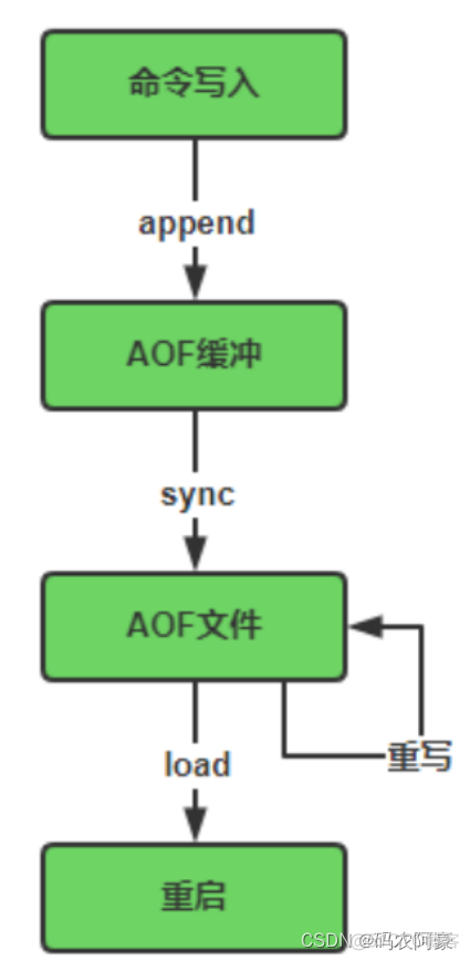 Redis系列学习文章分享---第十一篇（Redis高级实战篇---RDB演示 +RDB的fork原理+A0F演示 +RDB和AOF）_redis_03