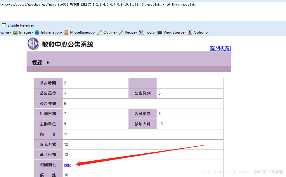 手工注入access数据库 access sql注入_表名_13