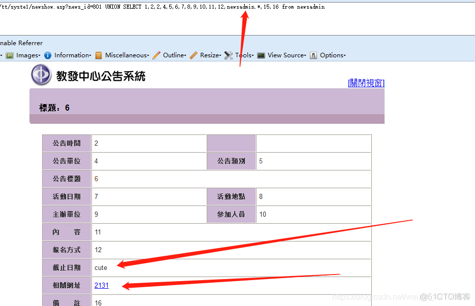 手工注入access数据库 access sql注入_字段_14