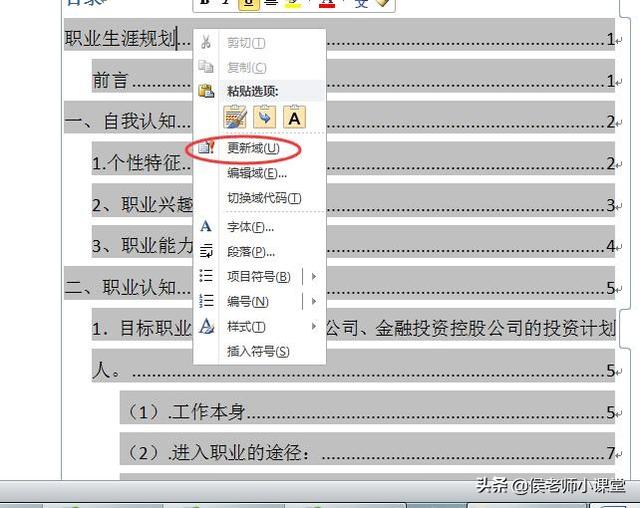 WORD文档目录和页码的更新用JAVA代码实现 word目录页码怎么更新_自定义样式_09