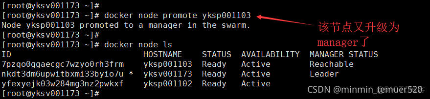 docker swarm 集群网络模式 docker swarm集群搭建_服务器_16