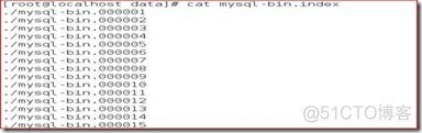 mysql 数据库的物理组织 mysql的物理结构_数据库_11