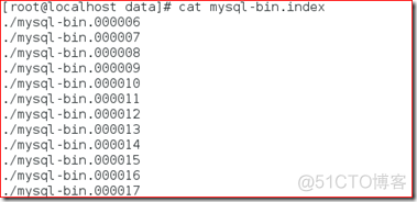 mysql 数据库的物理组织 mysql的物理结构_MySQL_21