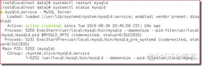 mysql 数据库的物理组织 mysql的物理结构_MySQL_47