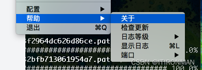 brew install 走代理端口安装pkg_人工智能_02