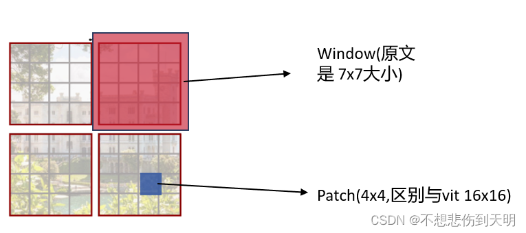 Swin Transformer_转置_07