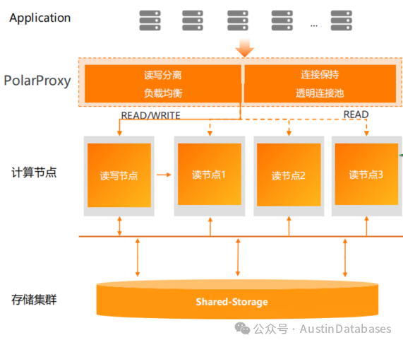 PolarDB for PostgreSQL  有意思吗？ 有意思呀_数据_05