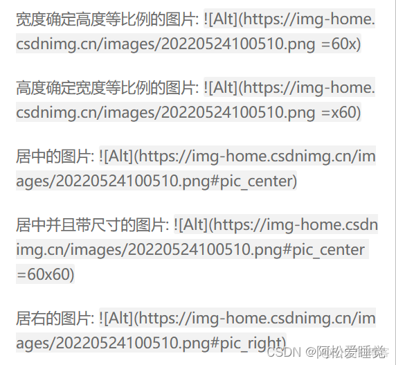 文章写作特技指南_经验分享_06