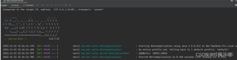 Springboot整合Netty，自定义协议实现_开发语言