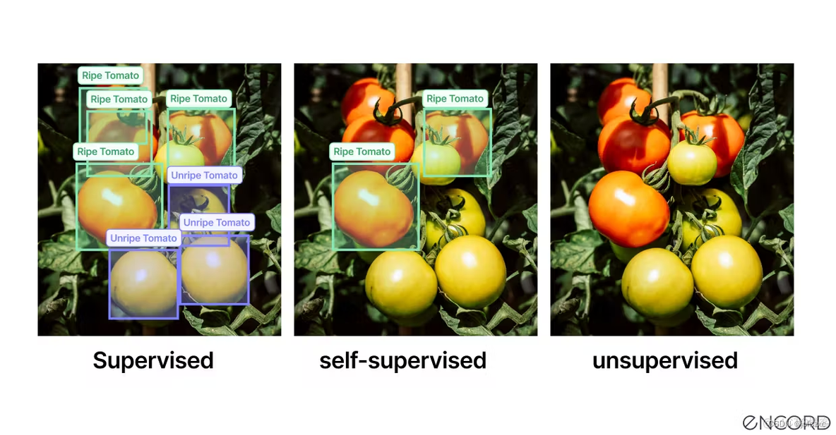 【深度学习：Self-supervised learning (SSL) 】自我监督学习解释_监督学习_04