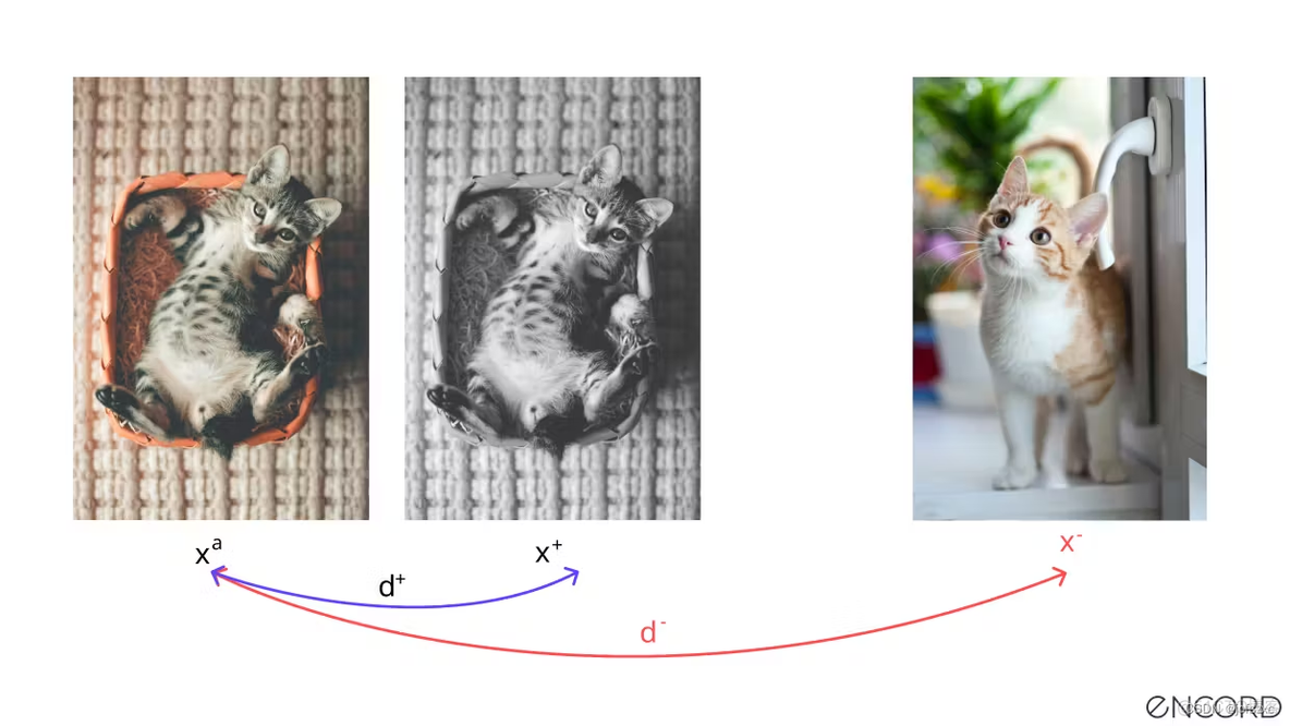 【深度学习：Self-supervised learning (SSL) 】自我监督学习解释_深度学习_07