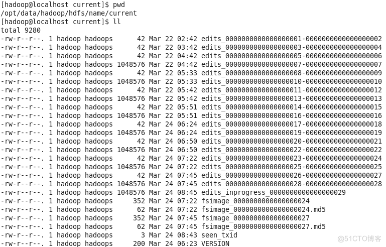 HDFS 文件系统 hdfs文档_命名空间_02