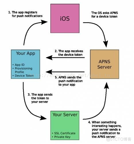 IOS 推送证书 如何申请 苹果消息推送证书_应用程序_02