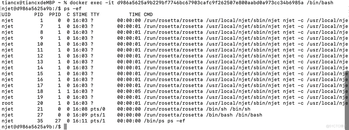 OpenNJet：下一代云原生应用引擎_html_04