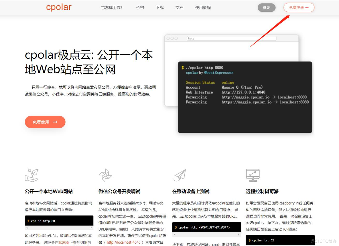 Windows安装Ollama结合内网穿透实现公网访问本地大语言模型Web交互界面_前端_26