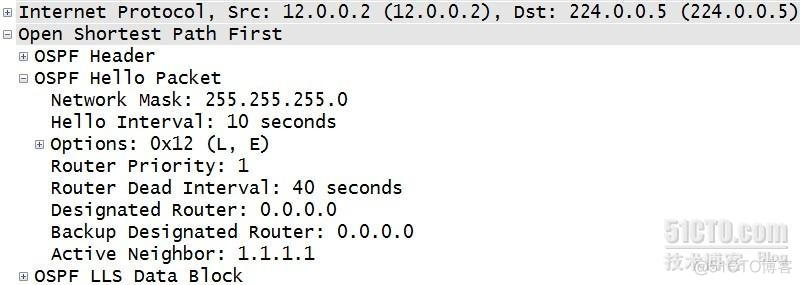 ospf的进程号和区域号 ospf进程号本地有效_链路_03