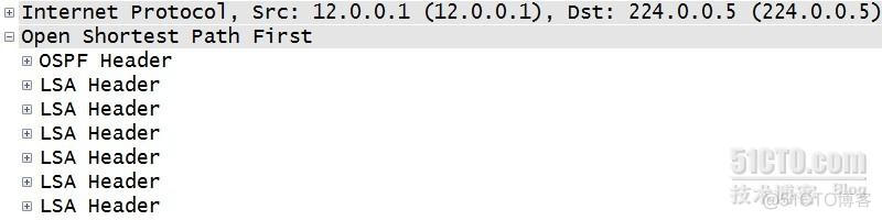 ospf的进程号和区域号 ospf进程号本地有效_数据库_07