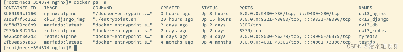 Docker 中部署 Nginx 并挂载配置文件 docker nginx部署前端项目,Docker 中部署 Nginx 并挂载配置文件 docker nginx部署前端项目_docker_30,第30张