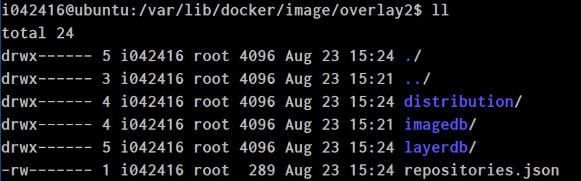 python docker cpu核数 docker pytorch_paddle_05