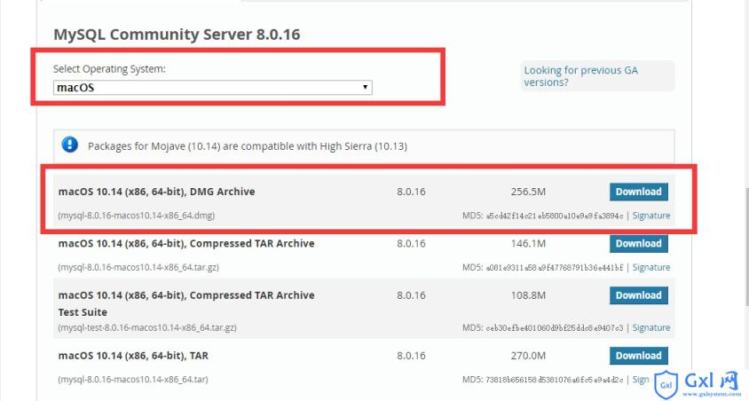 mac os14安装mysql mac安装mysql8,mac os14安装mysql mac安装mysql8_Server_02,第2张