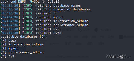 SQL SERVER 盲注 sql盲注的原理_网络安全_10