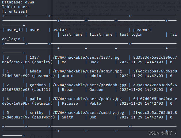 SQL SERVER 盲注 sql盲注的原理_SQL SERVER 盲注_14