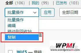 wordpress复制自动上传图片 wordpress复制文章插件_wp自定义帖子没标签_07