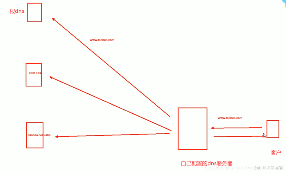 搭建dns服务器docker 搭建dns域名服务器_DNS_03