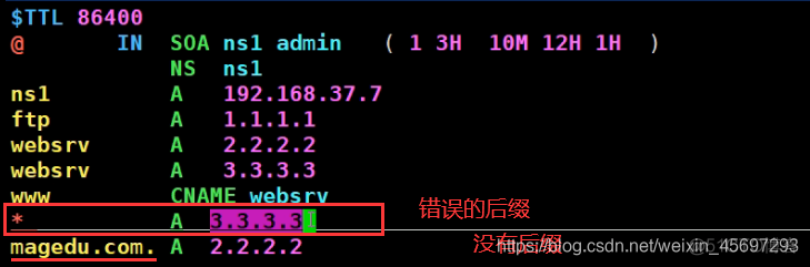 搭建dns服务器docker 搭建dns域名服务器_DNS_16