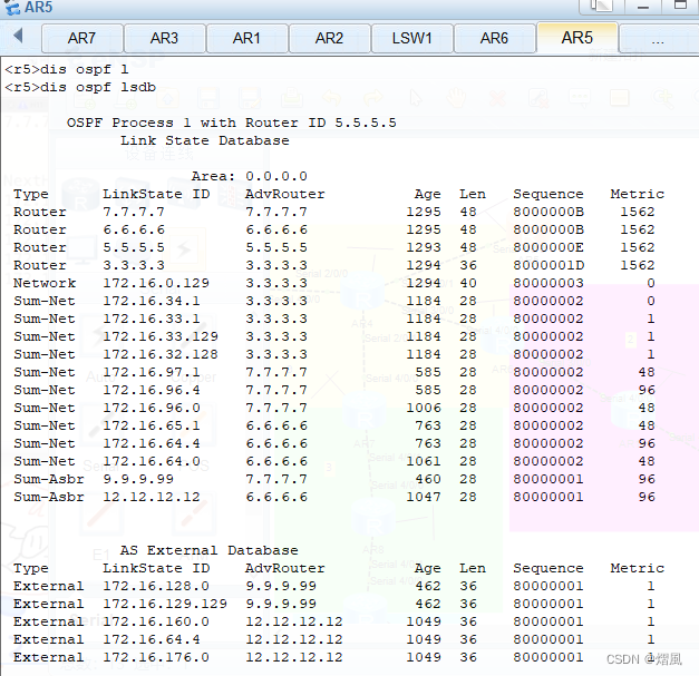 ospf故障排查实验 ospf故障排除实验 答案,ospf故障排查实验 ospf故障排除实验 答案_网络安全_24,第24张