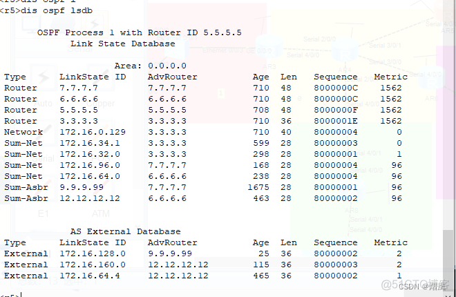 ospf故障排查实验 ospf故障排除实验 答案_网络安全_25