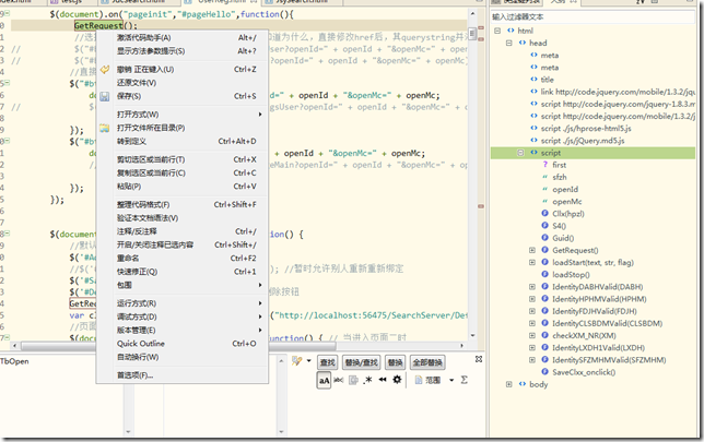 JavaScript在hbuider里怎么打 javascript可以用hbuilder软件吗_ViewUI_04