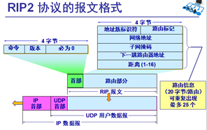 内部网关协议ospf实验报告总结 内部网关协议rip实验_路由表_03