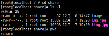 nginx可以部署动态网站吗 nginx部署静态和动态_nginx_02