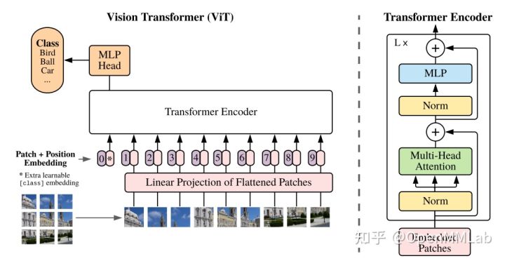 使用 EfficientVMamba实现图像分类任务 transformer做图像分类_图像分类_04