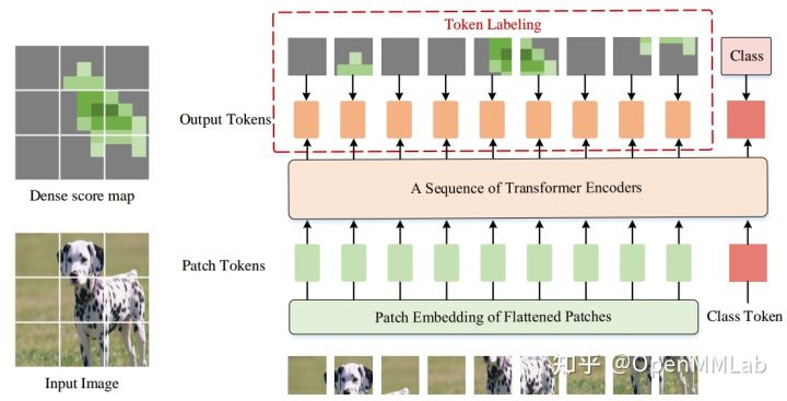 使用 EfficientVMamba实现图像分类任务 transformer做图像分类_图像分类_08