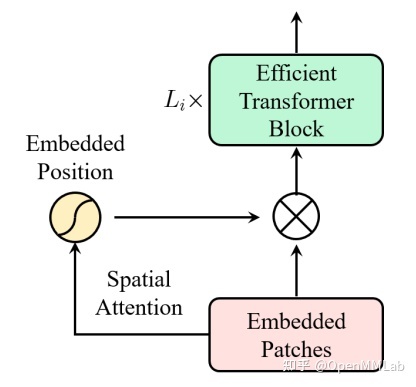 使用 EfficientVMamba实现图像分类任务 transformer做图像分类_编码器_16