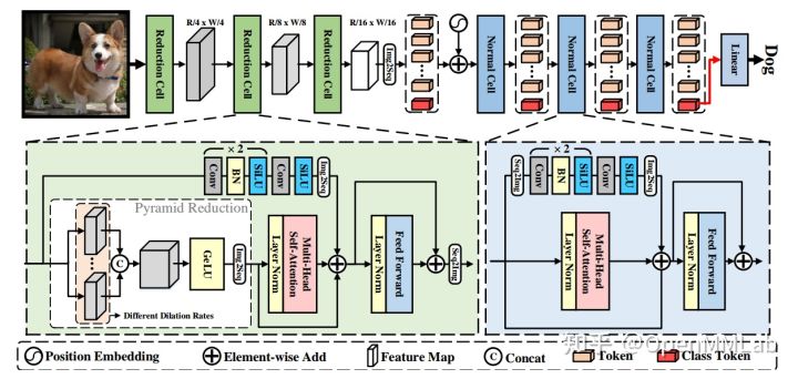 使用 EfficientVMamba实现图像分类任务 transformer做图像分类_图像分类_22