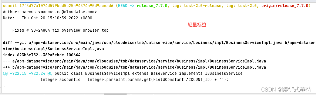 gitlab不能打tag gitlab tag_docker