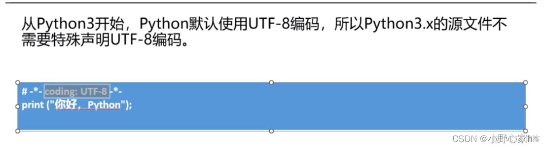 python 变量声明添加类型 python变量声明的特点_python_08