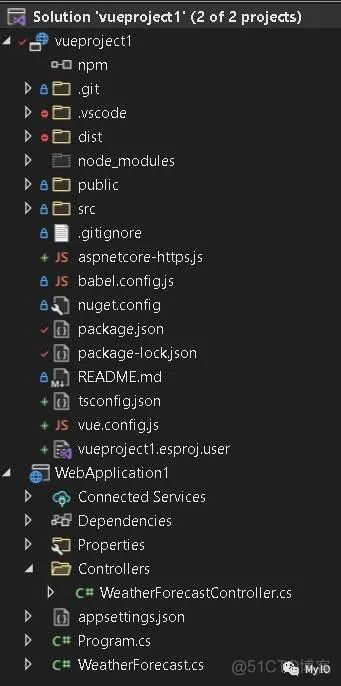 VS2022开发docker VS2022开发vue_java_07