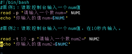 linux shell 在容器中执行命令 linux shell怎么用,linux shell 在容器中执行命令 linux shell怎么用_基本语法_42,第42张