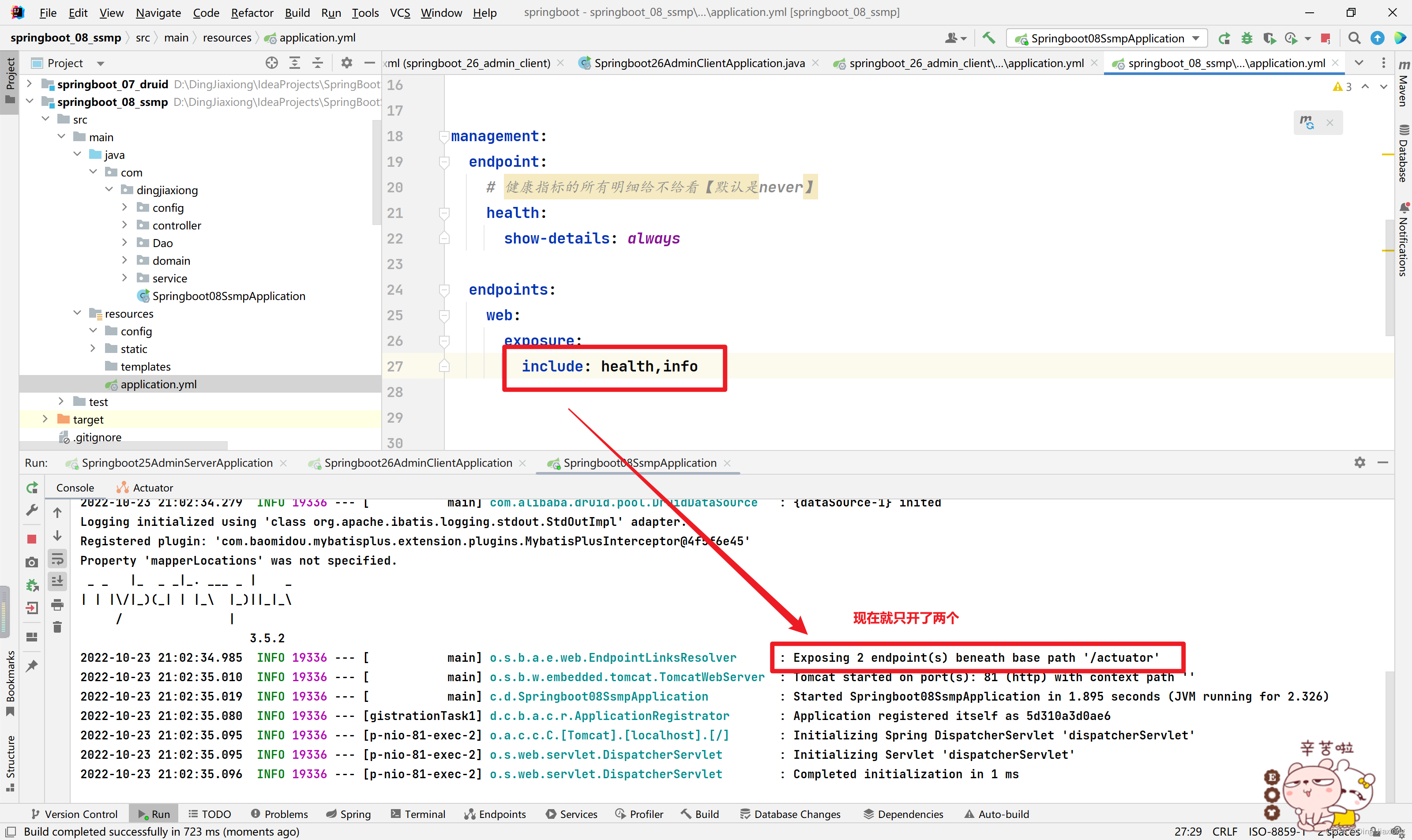 spring cloud支持ipv6配置不 springboot ipv6_postman_12