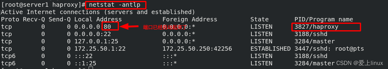 haproxy 不存在页面 haproxy check_php_02